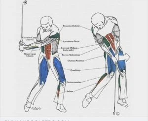 11 kötelező golftipp nőknek, amelyek valóban működnek